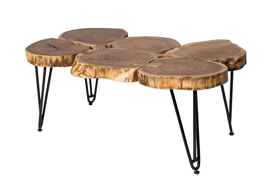 Porter Designs Porter Deschutes RLE-58 Log Coffee Table Porter Designs Porter Deschutes RLE-58 Log Coffee Table